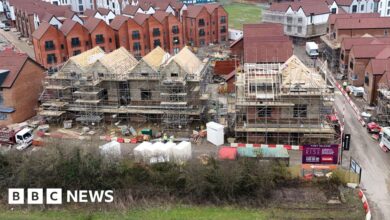 Environmental rules reviewed for small housebuilders