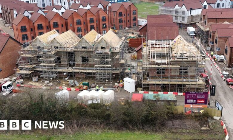 Environmental rules reviewed for small housebuilders