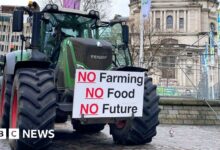 Farm inheritance tax: MPs call for year-long delay to proposals