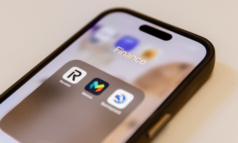 Fintechs that raked in profits from high interest rates now face resilience test
