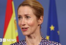 Fishing shouldn't block defence pact, says EU chief Kaja Kallas
