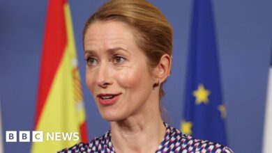 Fishing shouldn't block defence pact, says EU chief Kaja Kallas