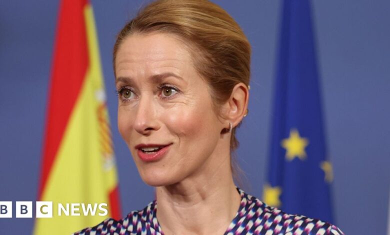 Fishing shouldn't block defence pact, says EU chief Kaja Kallas