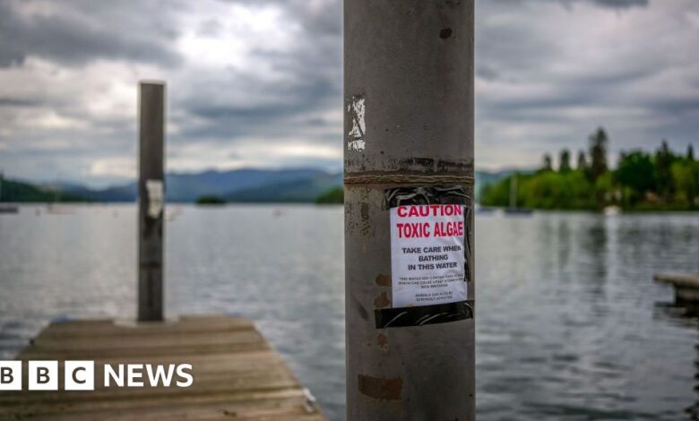 Government says water company investigations have increased