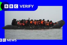 Illegal immigration and asylum: are government pledges on track?