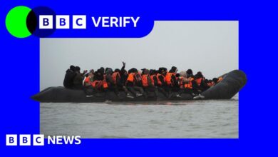 Illegal immigration and asylum: are government pledges on track?
