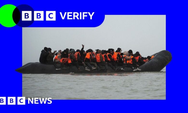 Illegal immigration and asylum: are government pledges on track?