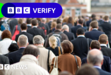 Immigration: What are the government's plans and the challenges?