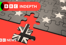 Is Britain really inching back towards the EU?