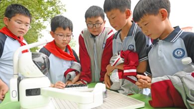Key AI hub China restricts schoolchildren's use of the tech