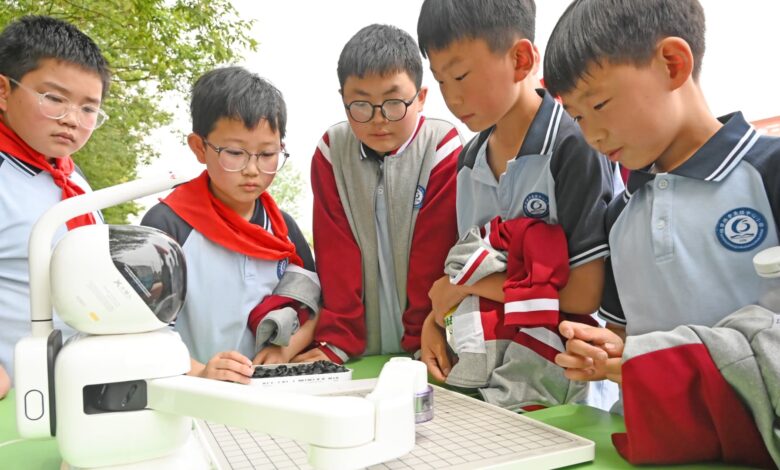 Key AI hub China restricts schoolchildren's use of the tech