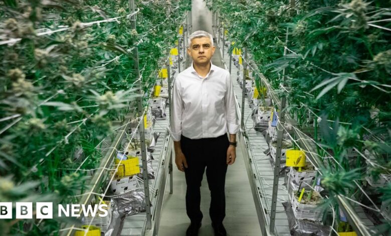 London mayor backs report calling for cannabis decriminalisation