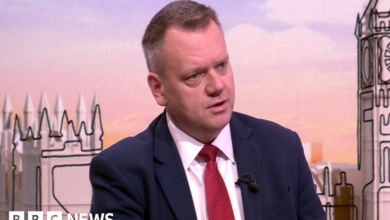 Minister 'pushing' for deal over UK use of EU passport e-gates
