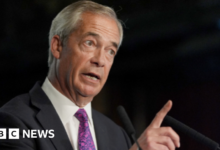 Nigel Farage: Reform UK want to make it easier for people to have children