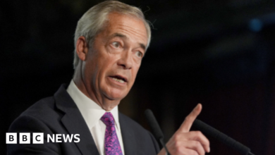 Nigel Farage: Reform UK want to make it easier for people to have children
