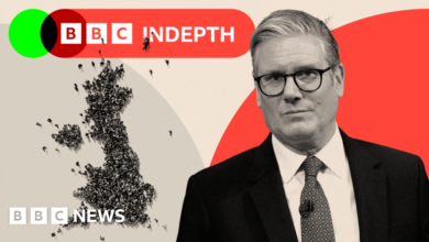Numbers are down - but Starmer will struggle to win on migration