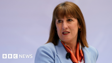 Rachel Reeves investigated by MPs watchdog over theatre tickets