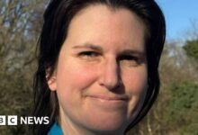 Reform UK is a 'cult', says suspended Shropshire councillor