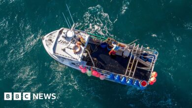 Scottish Fishermen's Federation says EU deal is 'disastrous'