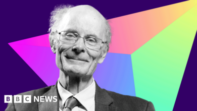 Sir John Curtice: Reform's sweeping election wins shake Tory and Labour dominance