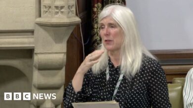 Tearful Labour MP says she was told to 'live with' chronic UTI