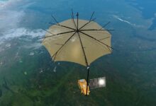 Tech Life - Weighing the world's forests - BBC Sounds