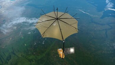 Tech Life - Weighing the world's forests - BBC Sounds