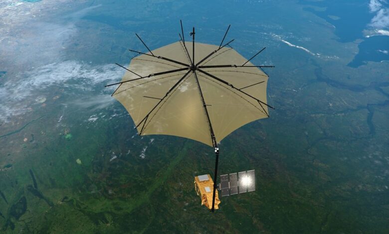 Tech Life - Weighing the world's forests - BBC Sounds