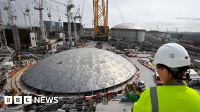UK needs more nuclear to power AI, says Amazon Web Services boss
