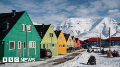 Visit the Arctic vault holding back-ups of great works