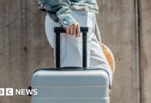Youth mobility scheme could be part of EU deal, Starmer signals