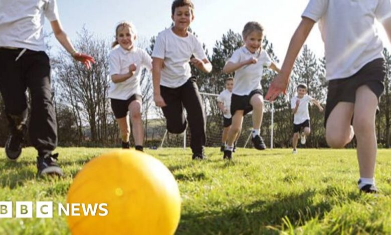 Ban 'no ball games' signs to get children off devices, play experts say