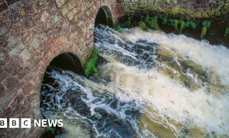 Bosses' bonuses banned at six water companies