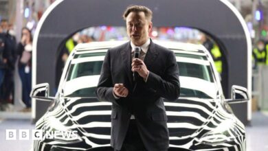Elon Musk's Tesla is 'not interested' in producing cars in India - minister