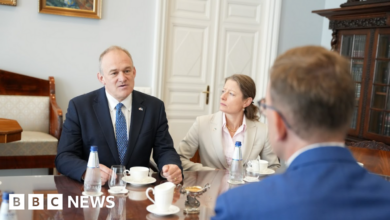 Give new recruits £10,000 to join army, says Sir Ed Davey