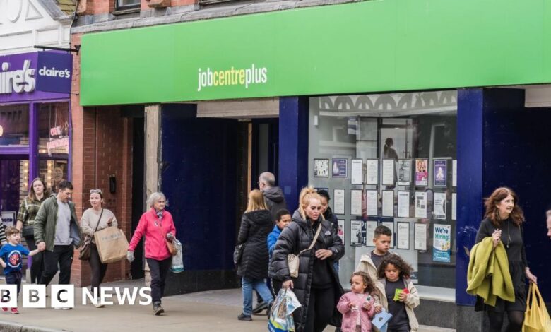 Government jobs support plans 'a mess', DWP officials tell BBC