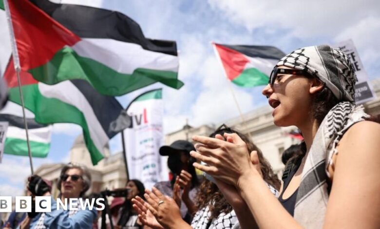 Government to ban Palestine Action, home secretary confirms