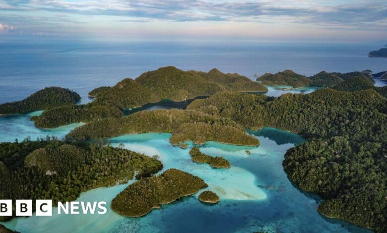 How a race for electric vehicles threatens a marine paradise