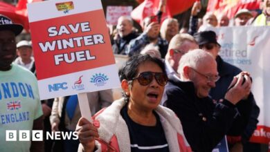 Labour MPs call for action on benefits after winter fuel U-turn