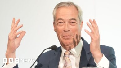 Let non-doms pay £250,000 and avoid some UK tax - Nigel Farage