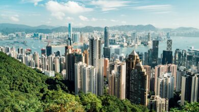 Nasdaq-traded Chinese herb company hits near $30 billion market value after speculative surge