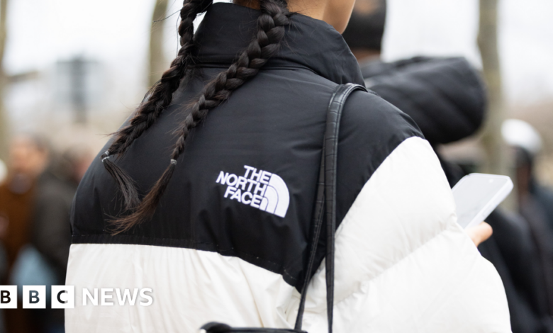 North Face and Cartier hit by cyber attacks