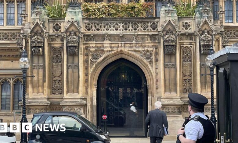 Peers criticise £9.6m House of Lords front door
