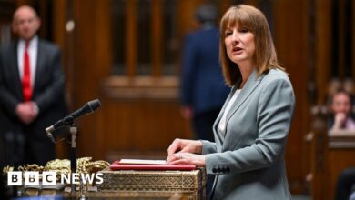 Rachel Reeves boosts NHS and housing as some budgets squeezed