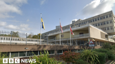 Reform council told to reconsider 'grey areas' in flag policy