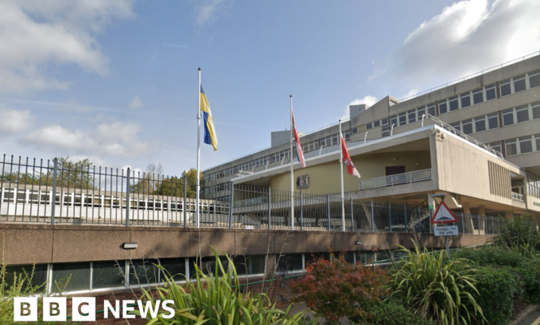 Reform council told to reconsider 'grey areas' in flag policy
