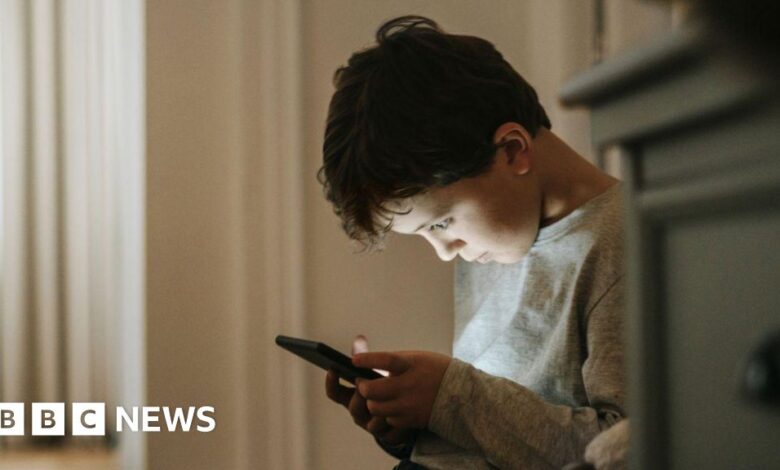 Social media time limits for children considered by government