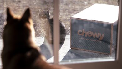 Stocks making the biggest moves midday: Oklo, Chewy, Quantum Computing, GitLab and more