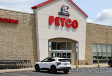 Stocks making the biggest moves midday: Petco Health, Tesla, Circle, Lululemon and more