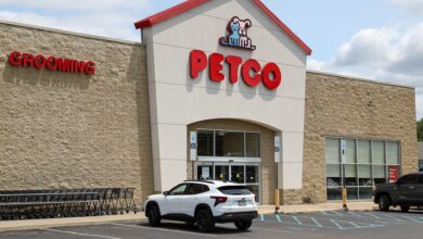 Stocks making the biggest moves midday: Petco Health, Tesla, Circle, Lululemon and more